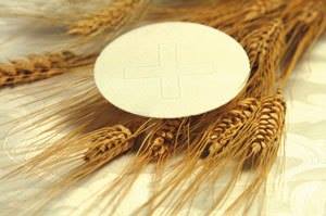 Image result for Máº§u nhiá»m nháº­p thá» mang láº¡i quyá»n nÄng
